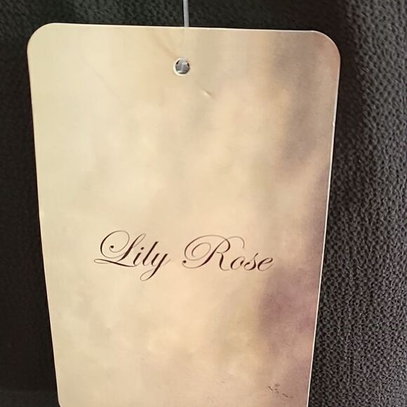 Lily Rose Black Sleeveless Dress with Buckle, Size XXL, NWT - Picture 5 of 7